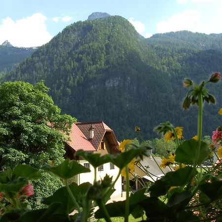 Haus Alpenrose Hotel Obertraun Exterior foto