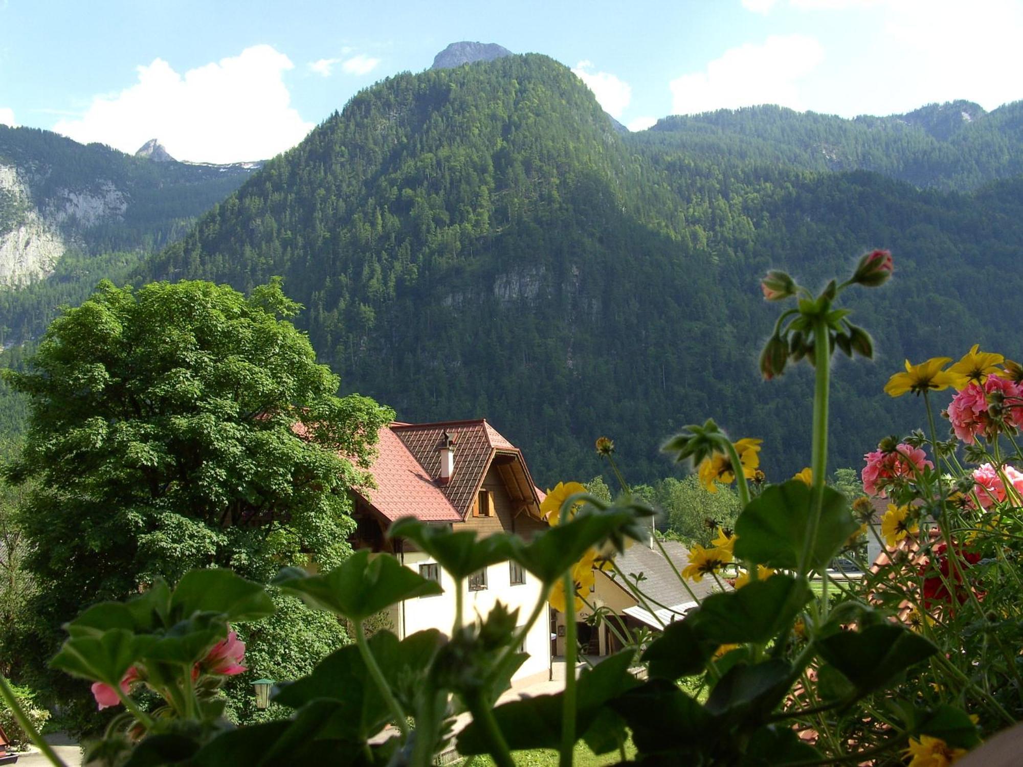 Haus Alpenrose Hotel Obertraun Exterior foto